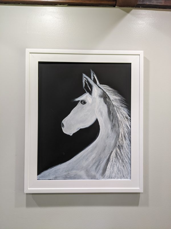 White horse scaled