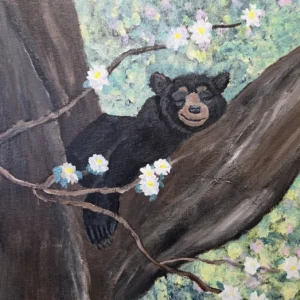 A sleeping black bear resting peacefully in the branches of a tree.