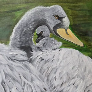 Swan and baby