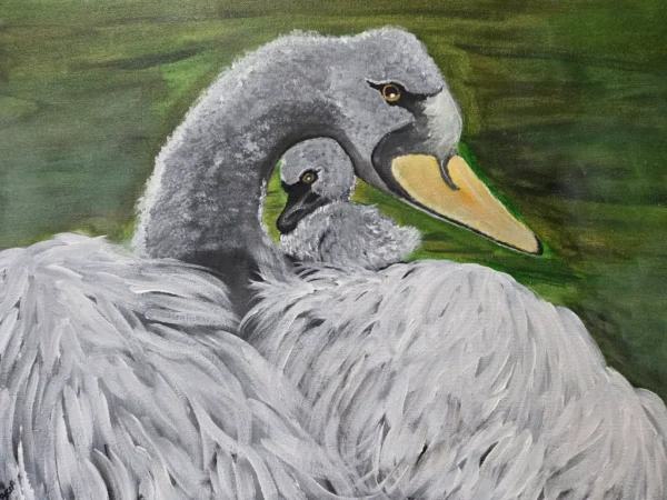 Swan and baby