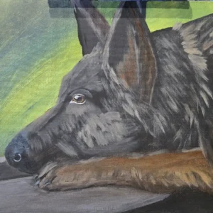 German Shepherd